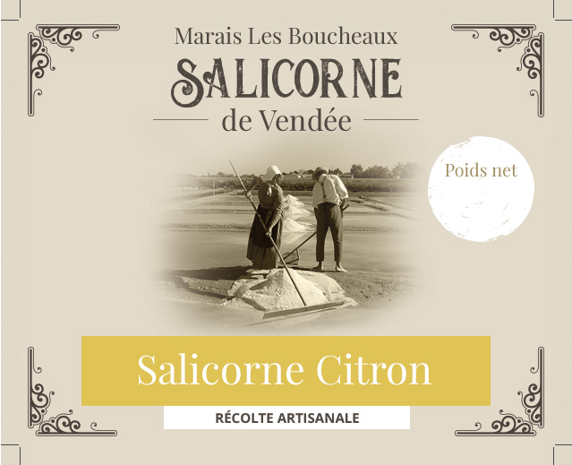 Salicorne citron