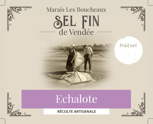 Echalotte