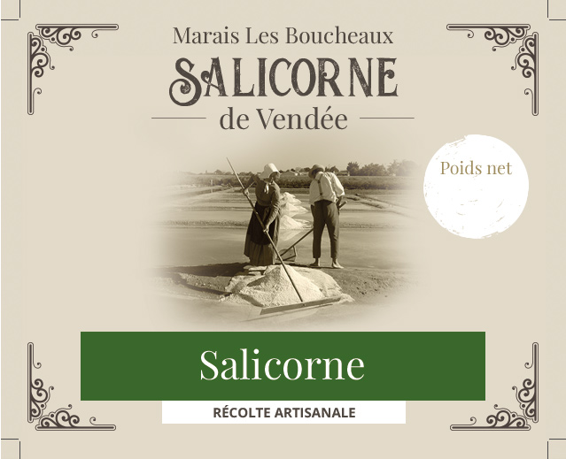 Salicorne 